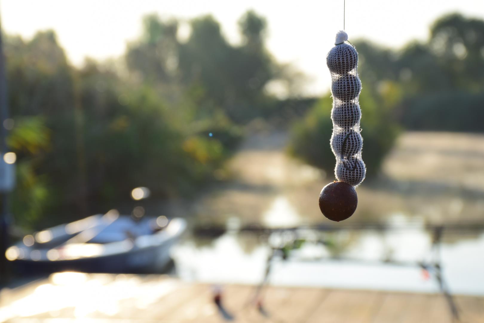 Tancabesti 5 - 8 sep. - dsc0616.JPG